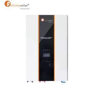 Felicity Hybrid IVPM Inverter