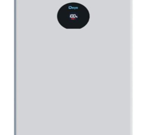 Deye Lithium Battery 16kWh (51.2V)